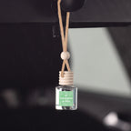 Eucalyptus & Mint Scented Car Freshener