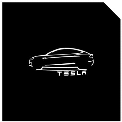 LED Logo Tesla Puddle Lights for Model 3/Y/S/X |
