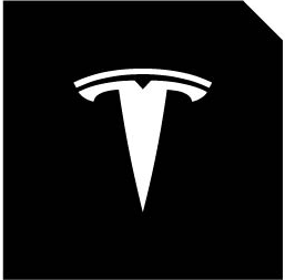 LED Logo Tesla Puddle Lights for Model 3/Y/S/X |