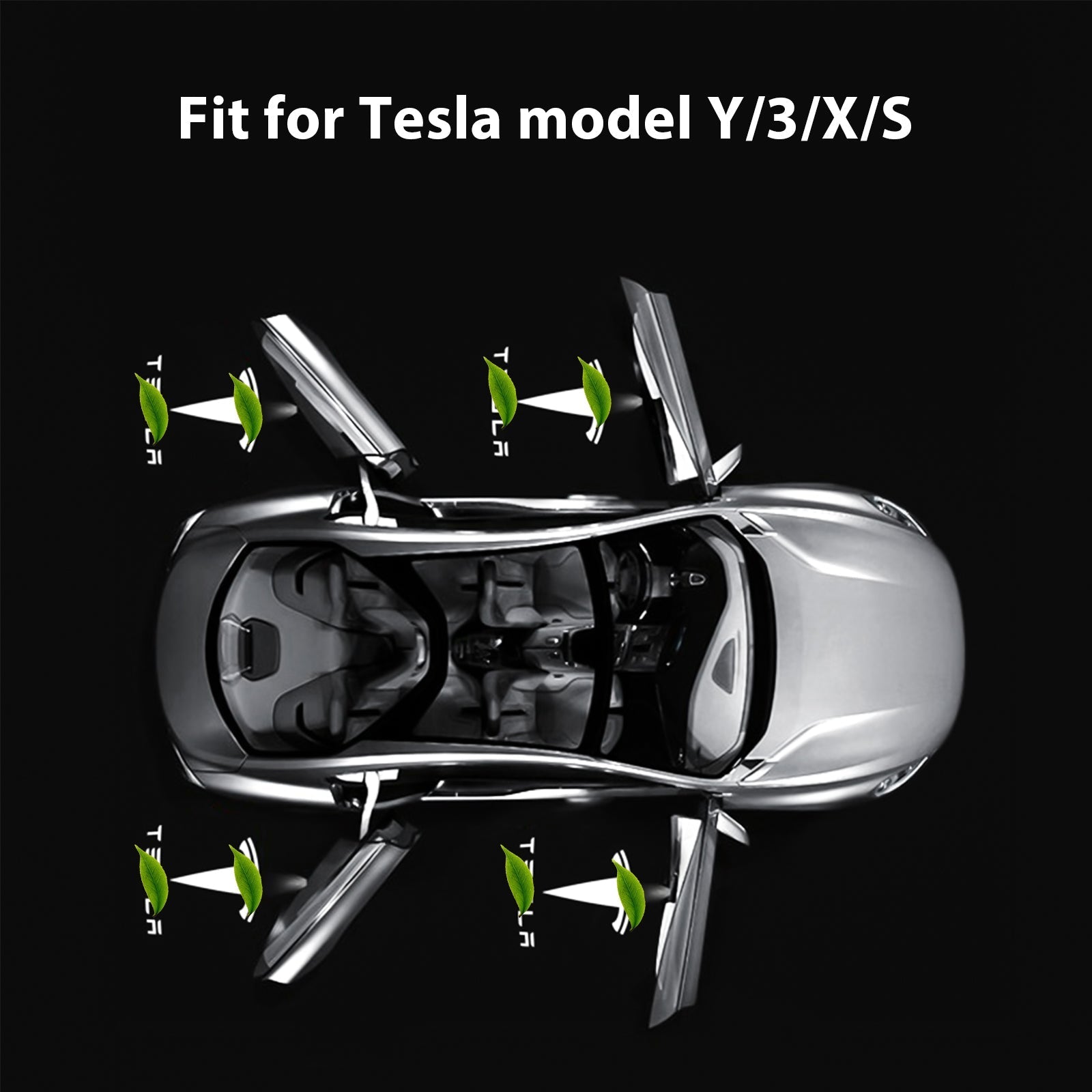 LED Logo Tesla Puddle Lights for Model 3/Y/S/X |
