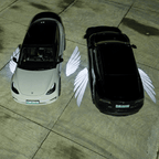 Angel Wings Rearview Mirror Welcome Light for Model 3 Highland & Model Y Juniper |