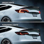 Dragon Scale Tail Lights for Model 3/Y