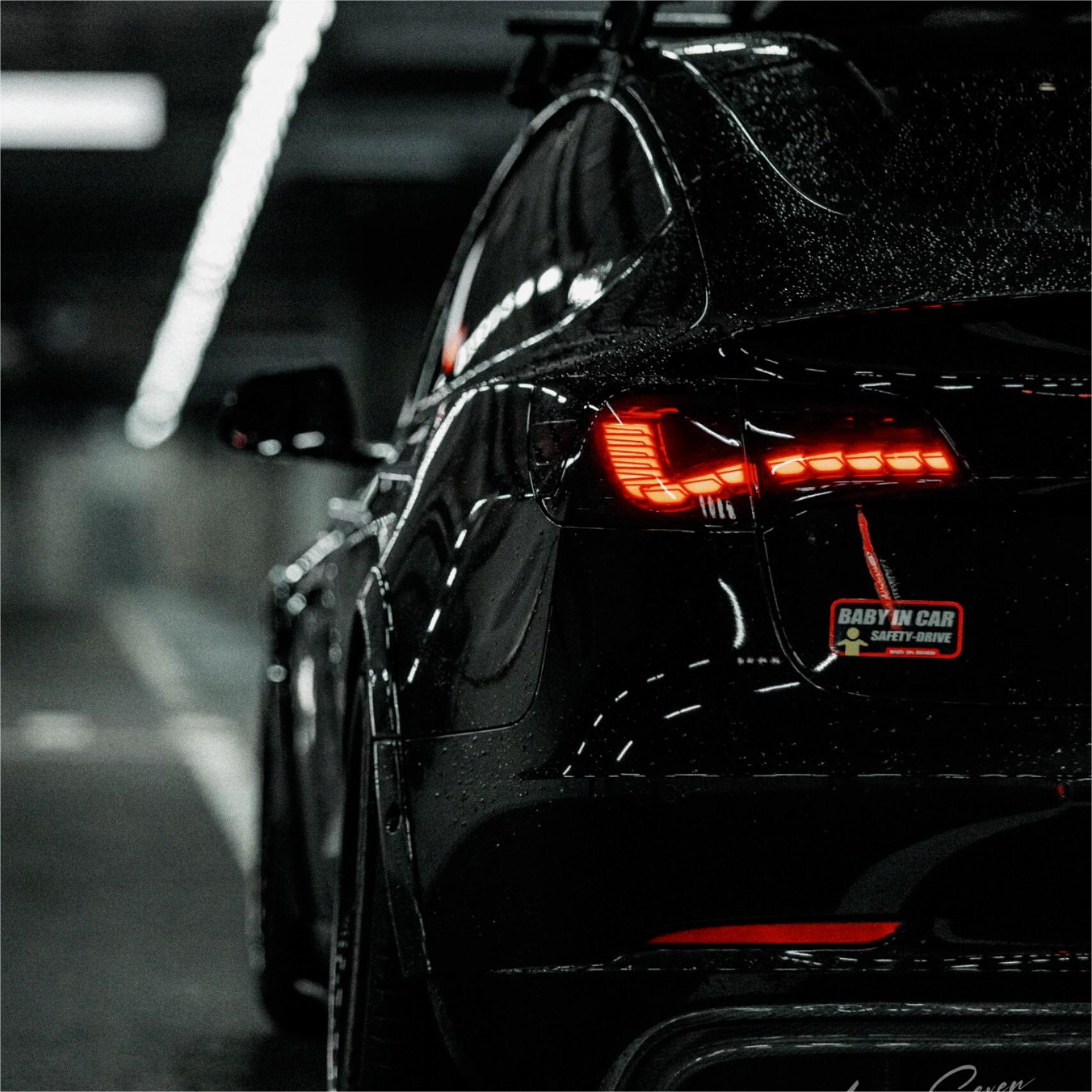 Dragon Scale Tail Lights for Model 3/Y