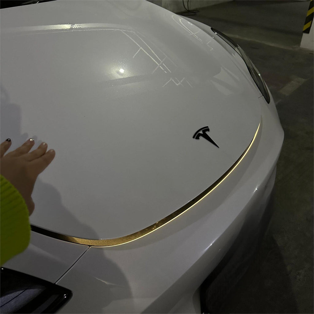RGB LED Frunk Light Strip for Model 3/Y/S /X