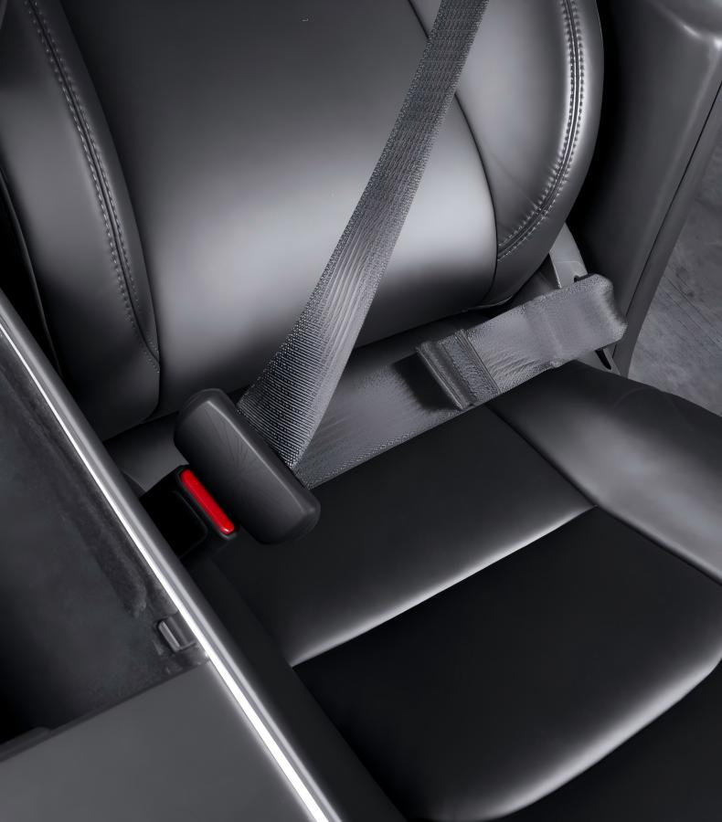 Seat Belt Buckle Cover Set for Tesla Model 3 / Model Y