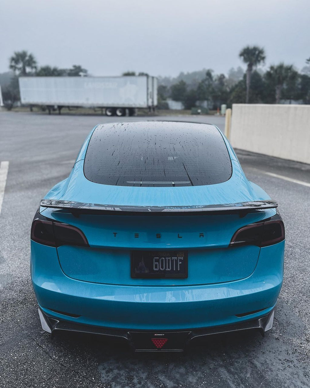 Tesla Model 3 Carbon Fiber Rear Spoiler Ver.3
