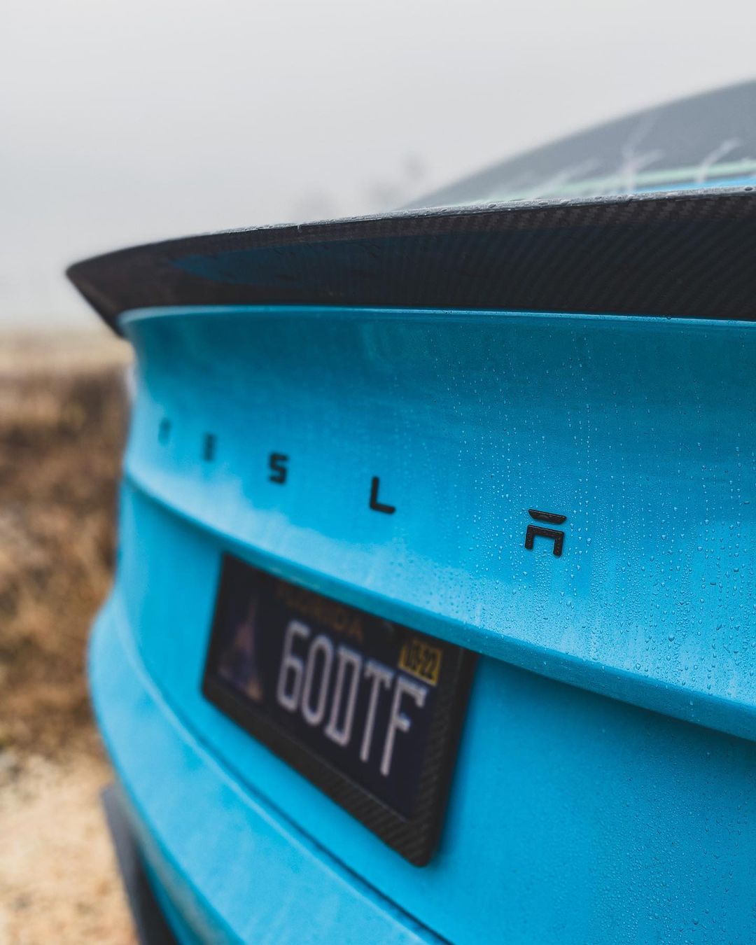 Tesla Model 3 Carbon Fiber Rear Spoiler Ver.3