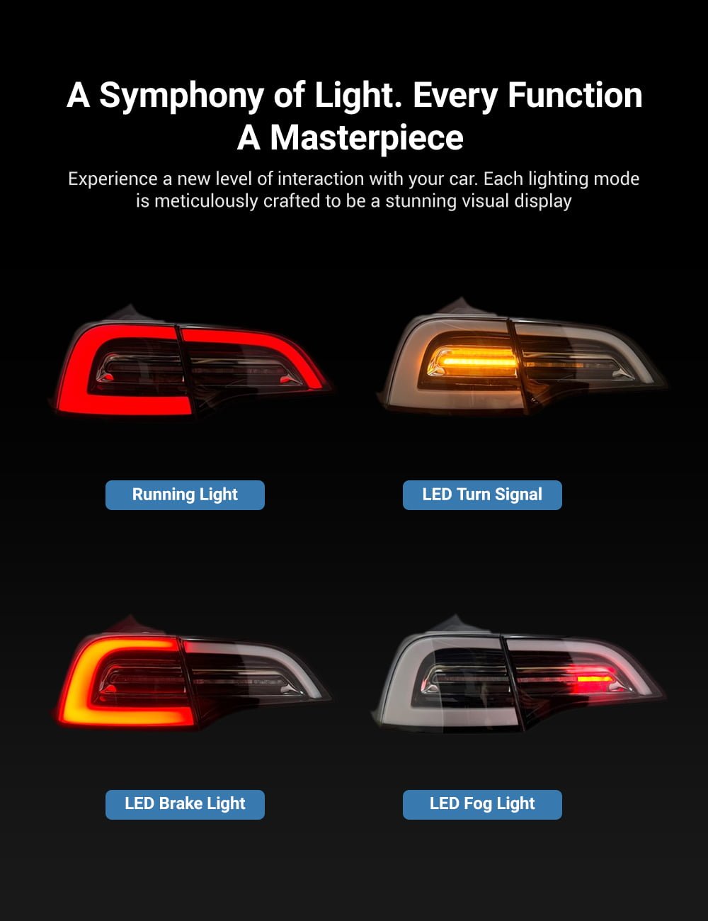 Model 3/Y Venom Style Tail Lights丨Stylish Upgrade |
